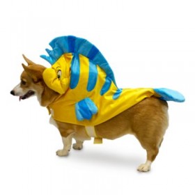 Disney Negozio Costume per cani Flounder La Sirenetta più economico
